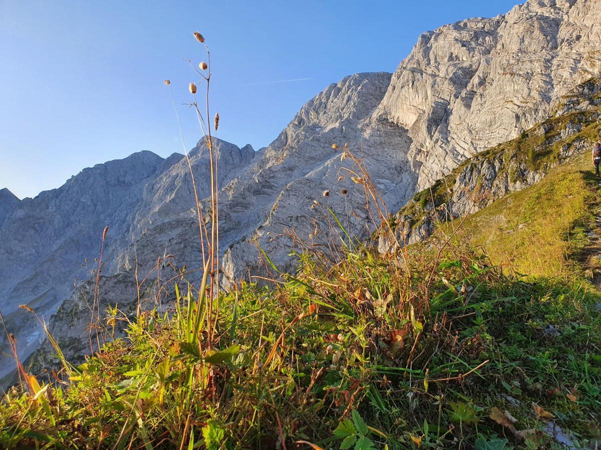 Ferienwohnungen Gaestehaus Laercheck Berchtesgaden Luaran gambar