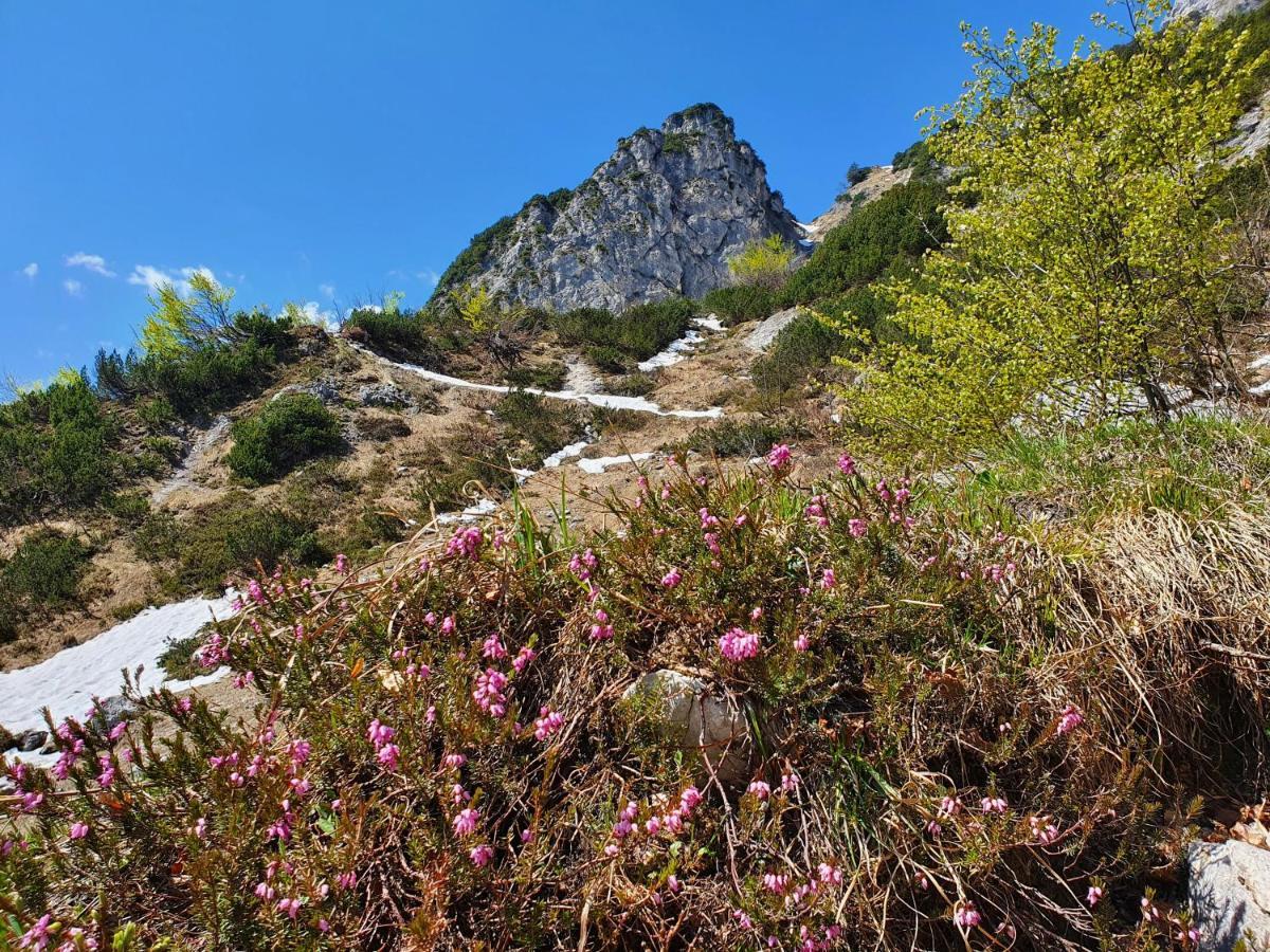 Ferienwohnungen Gaestehaus Laercheck Berchtesgaden Luaran gambar